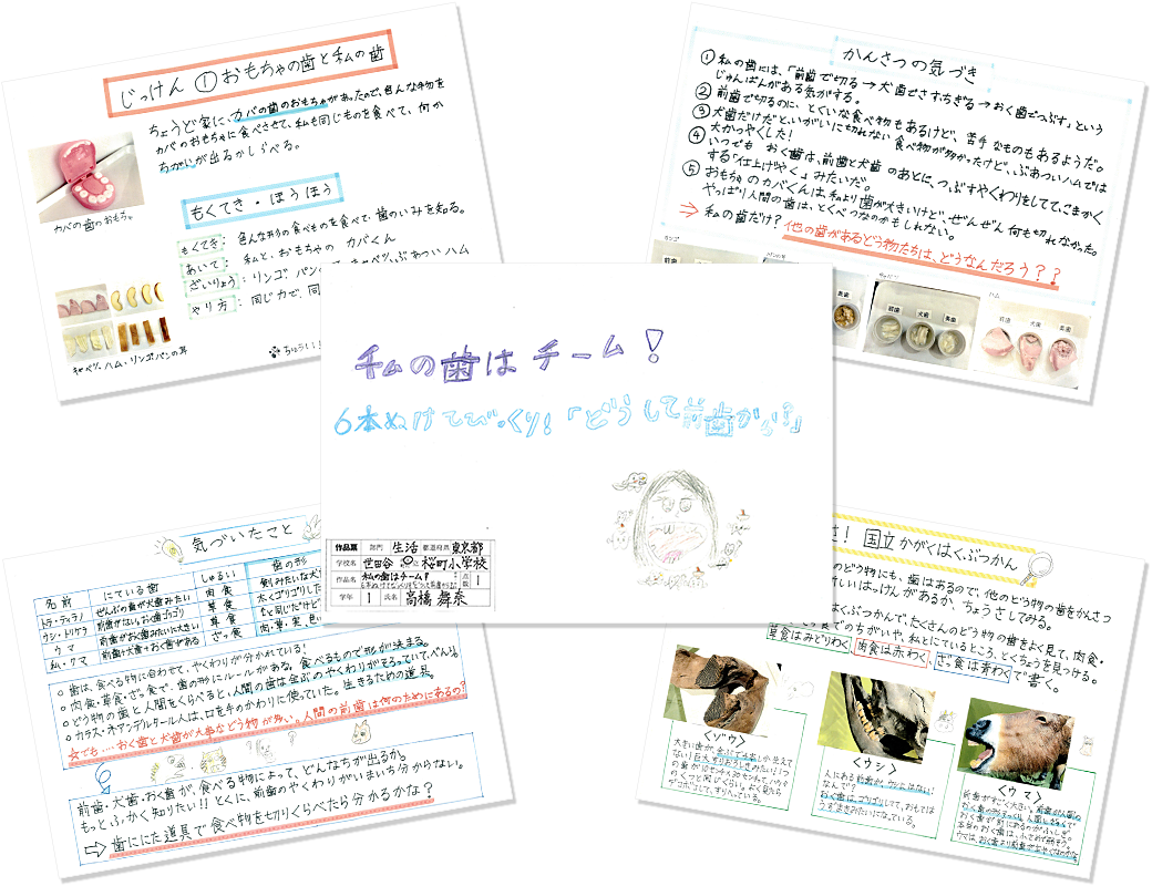 高橋 舞奈の作品