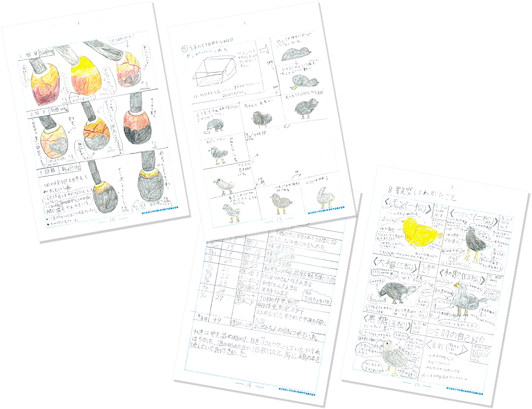 八重尾 福　八重尾 はるの作品